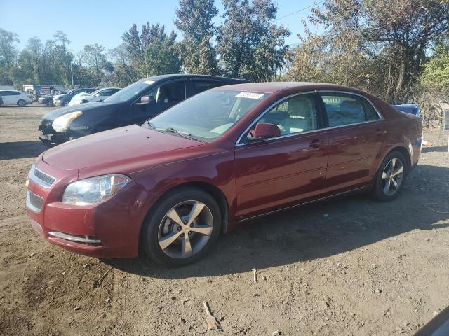 CHEVROLET MALIBU 2LT 2009 1g1zj57b29f244812