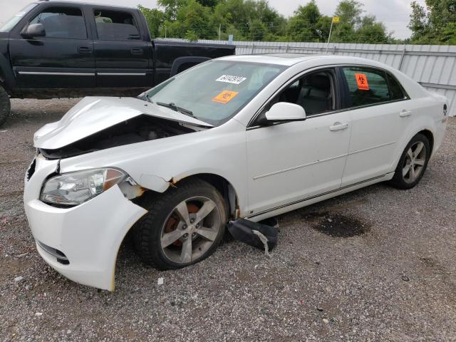 CHEVROLET MALIBU 2LT 2009 1g1zj57b394259184