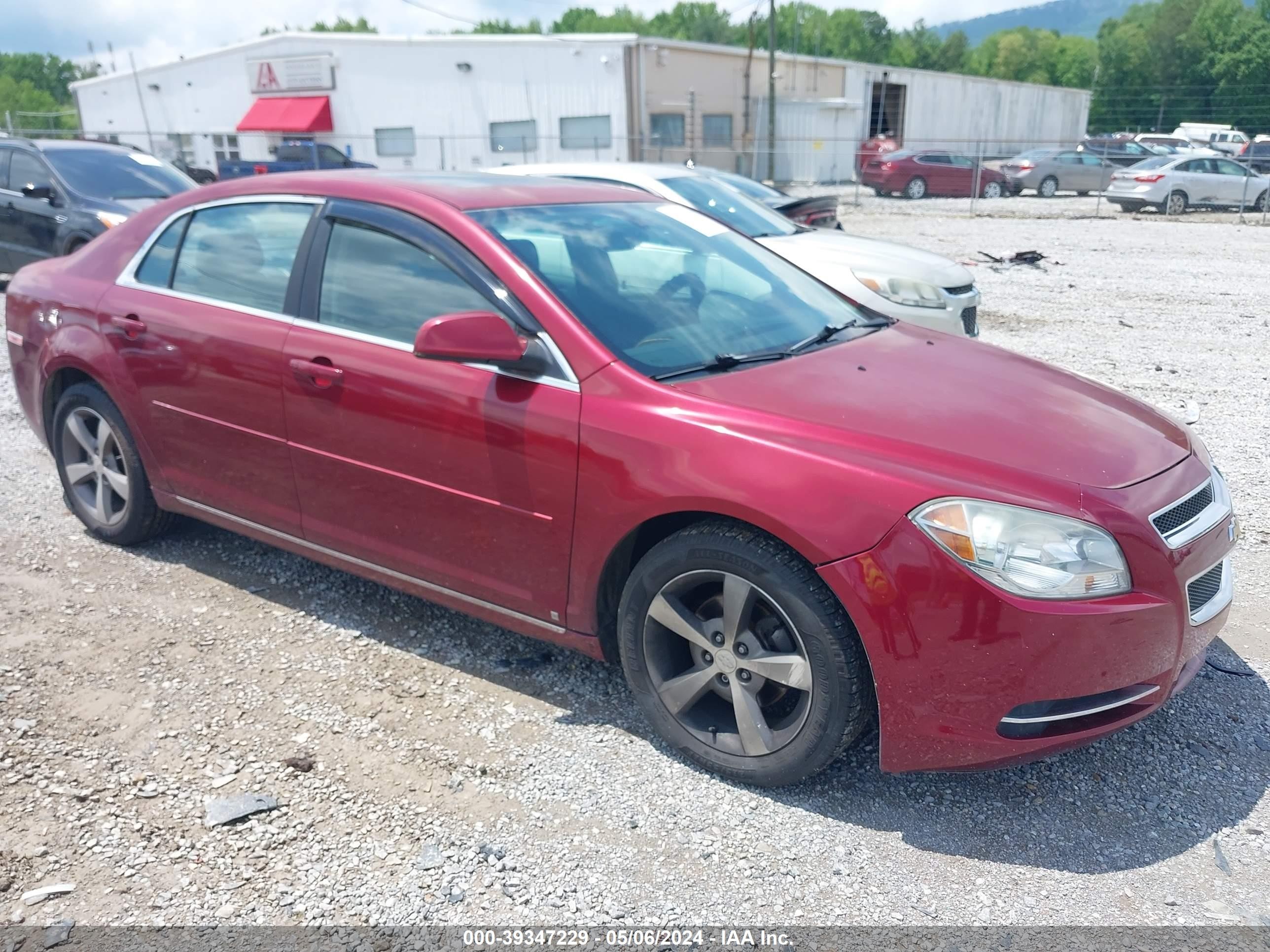 CHEVROLET MALIBU 2009 1g1zj57b39f126476