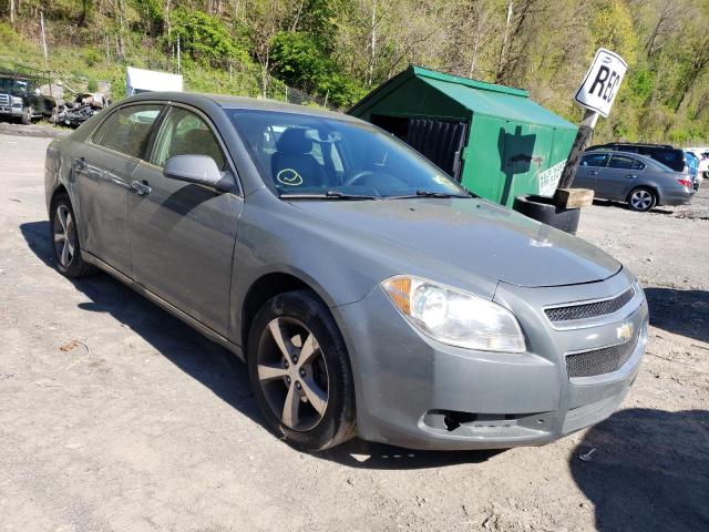 CHEVROLET MALIBU 2LT 2009 1g1zj57b494171521