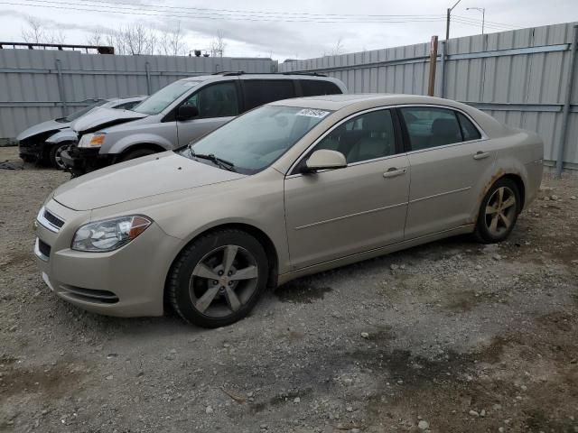 CHEVROLET MALIBU 2009 1g1zj57b49f223461