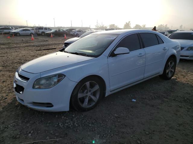 CHEVROLET MALIBU 2LT 2009 1g1zj57b694179149