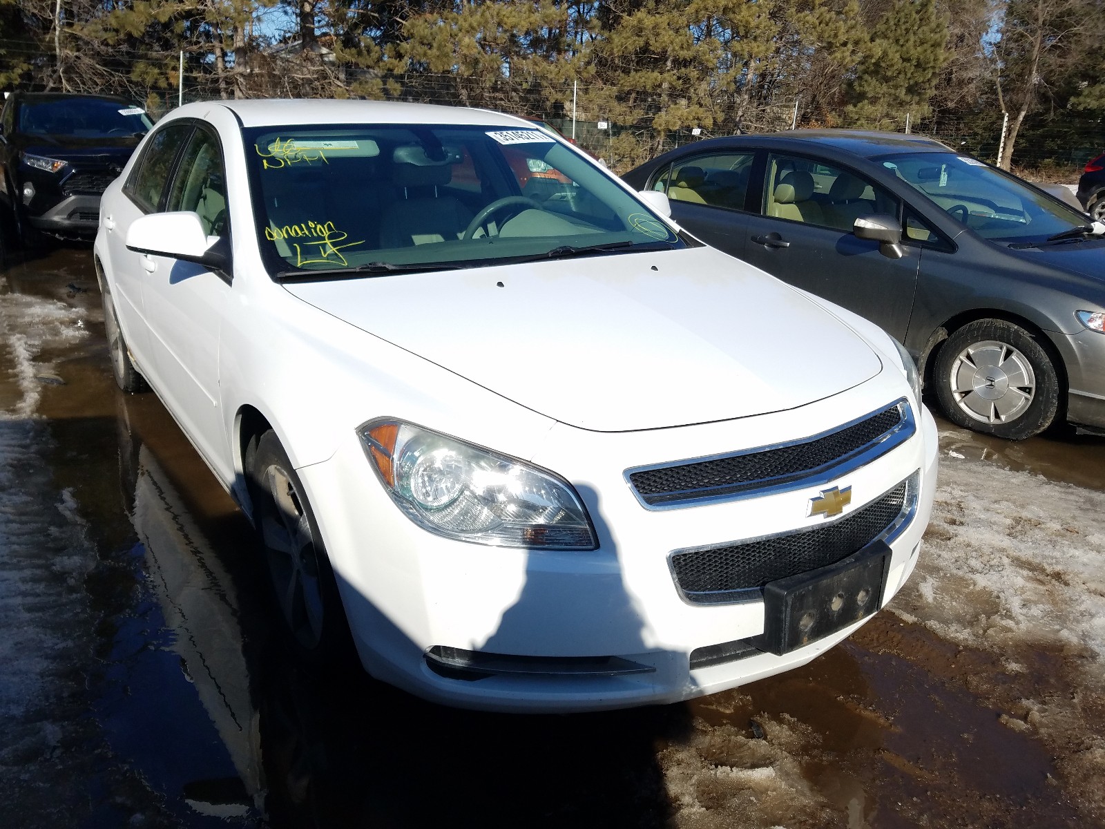 CHEVROLET MALIBU 2009 1g1zj57b69f103774