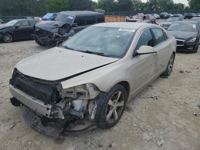 CHEVROLET MALIBU 2009 1g1zj57b69f167734