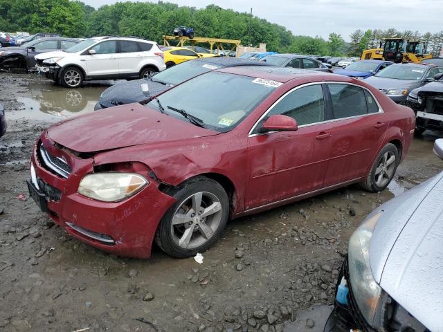 CHEVROLET MALIBU 2009 1g1zj57b69f238026