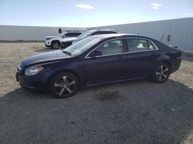 CHEVROLET MALIBU 2009 1g1zj57b79f165409