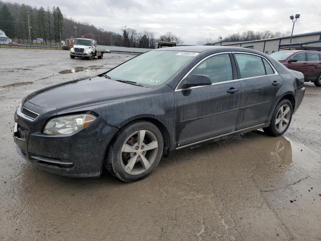 CHEVROLET MALIBU 2LT 2009 1g1zj57b894193540