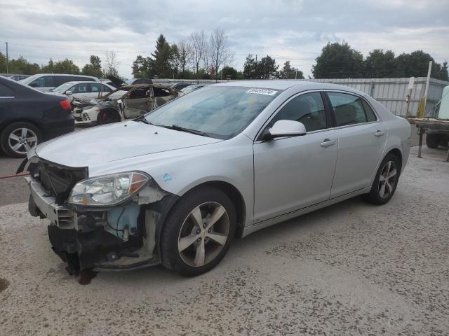 CHEVROLET MALIBU 2LT 2009 1g1zj57b894221983