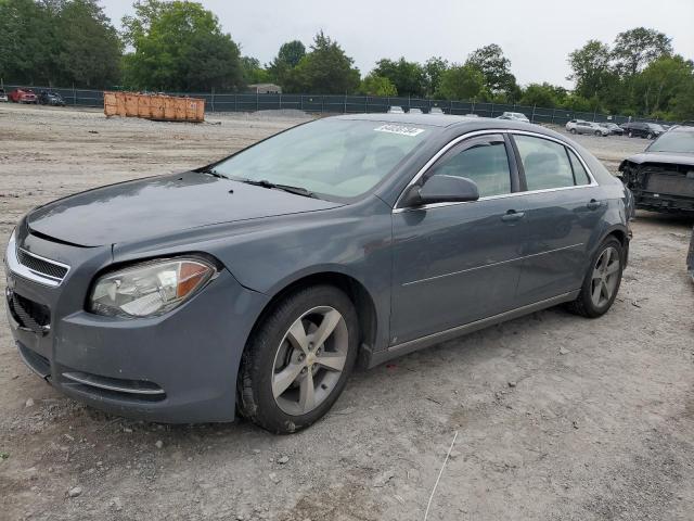 CHEVROLET MALIBU 2LT 2009 1g1zj57b89f163765