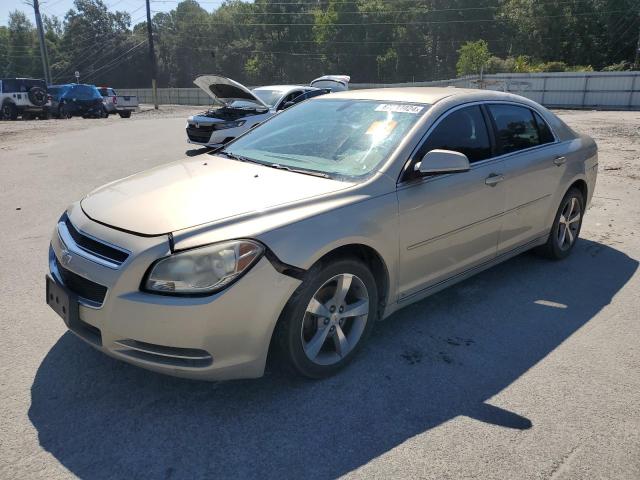 CHEVROLET MALIBU 2LT 2009 1g1zj57b994168503