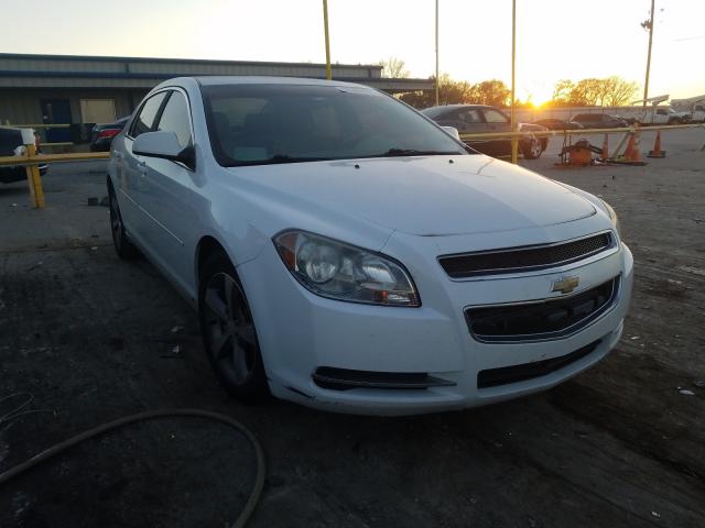 CHEVROLET MALIBU 2009 1g1zj57b99f100531