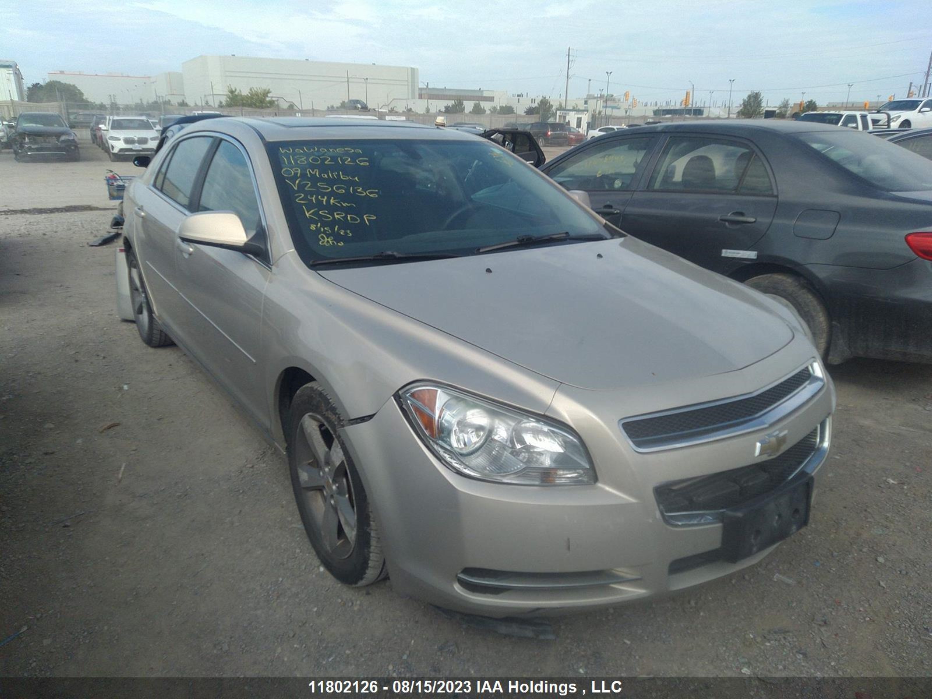 CHEVROLET MALIBU 2009 1g1zj57bx94256136