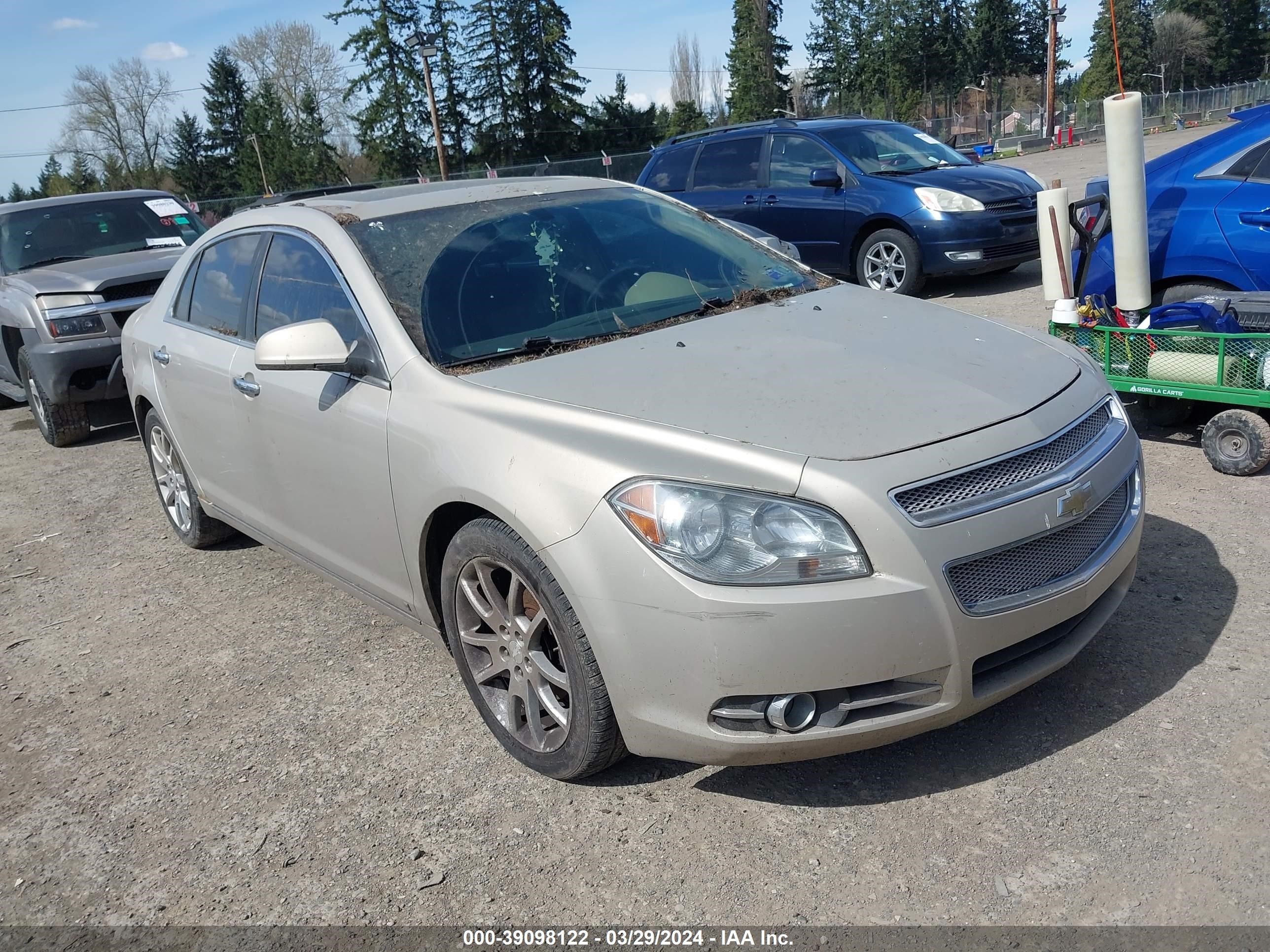 CHEVROLET MALIBU 2009 1g1zk57789f111402