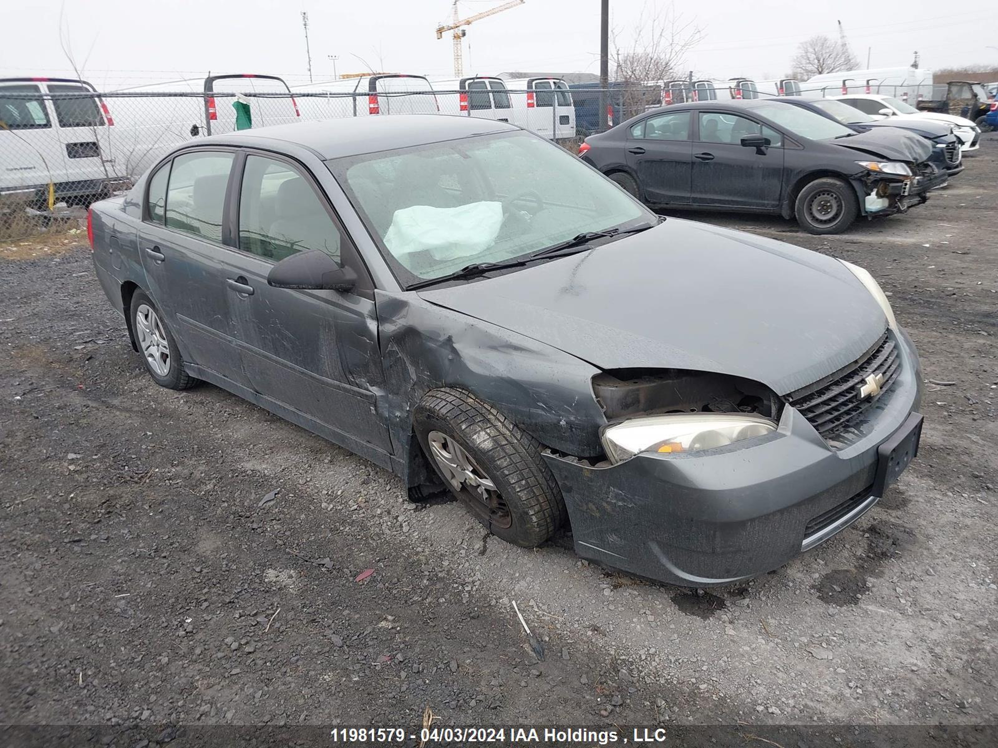 CHEVROLET MALIBU 2006 1g1zs51f36f188447