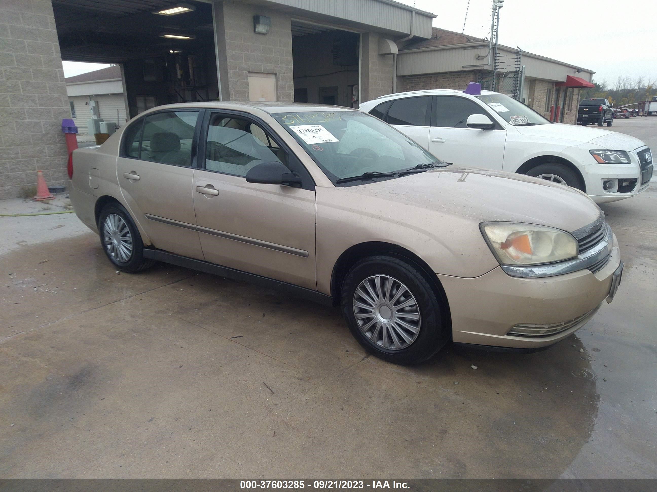 CHEVROLET MALIBU 2004 1g1zs52824f111484