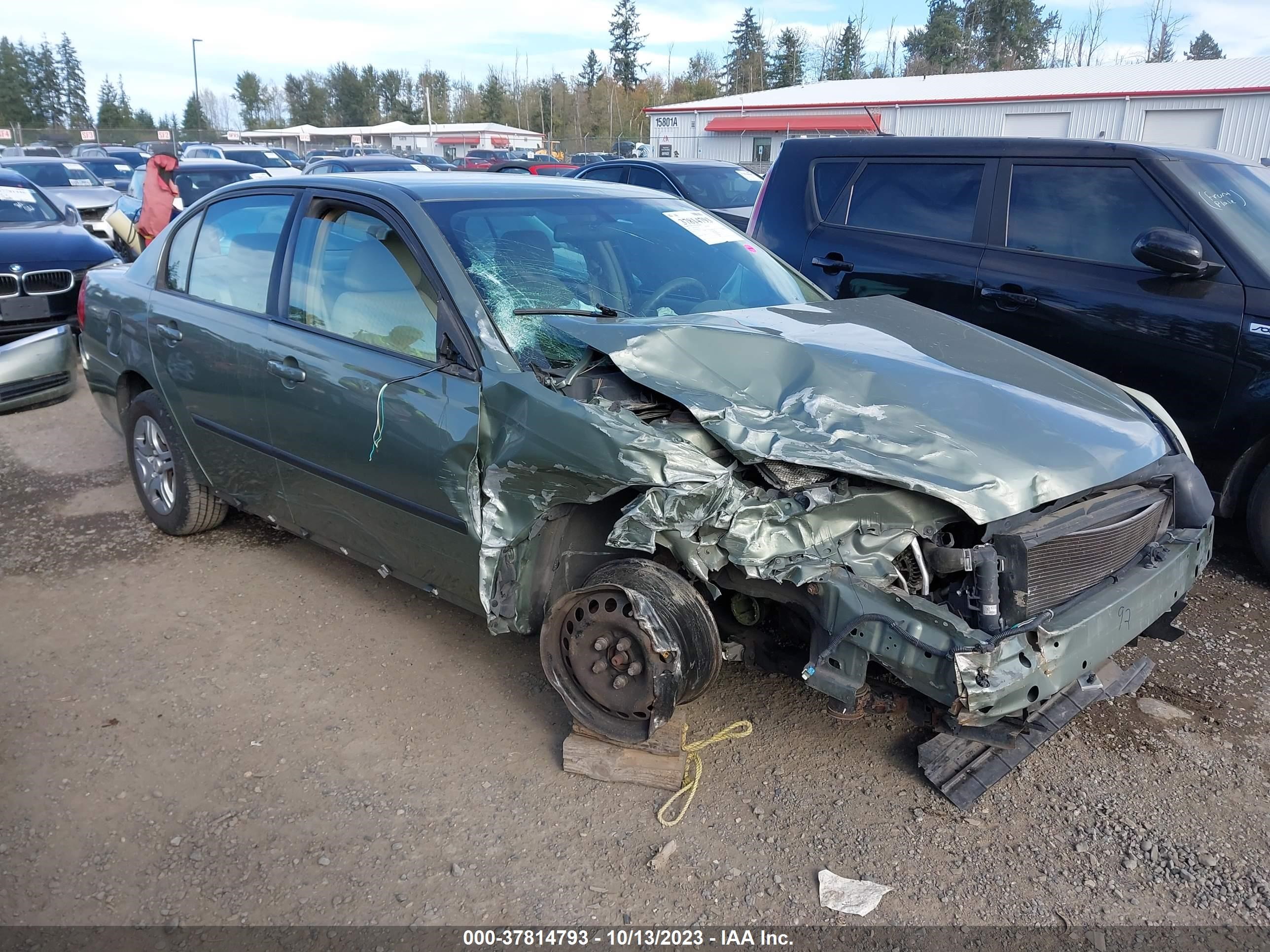 CHEVROLET MALIBU 2005 1g1zs52f15f233124