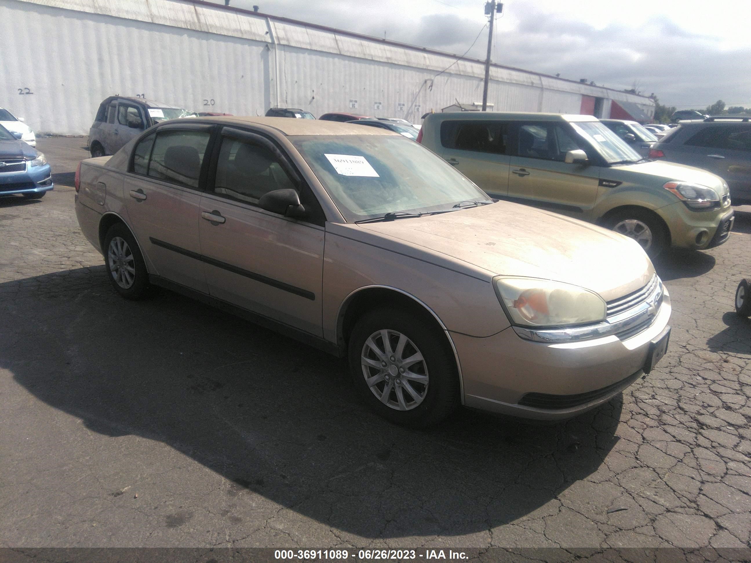 CHEVROLET MALIBU 2005 1g1zs52f25f209852