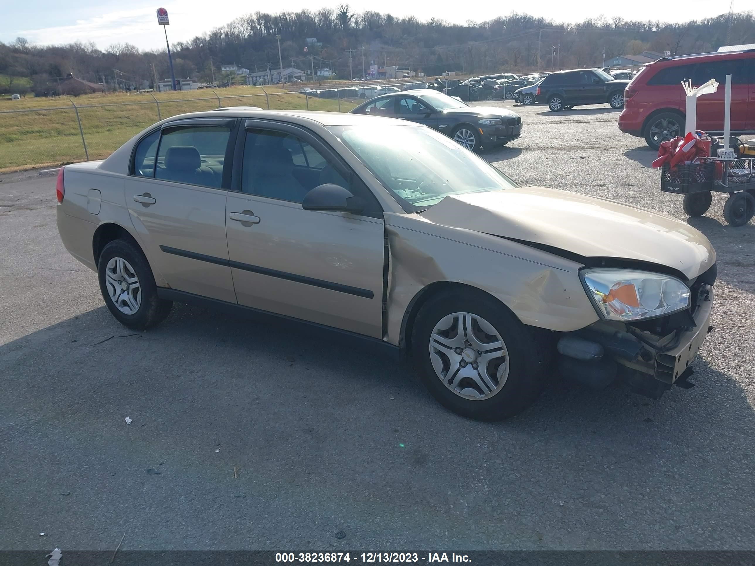 CHEVROLET MALIBU 2005 1g1zs52f85f134851