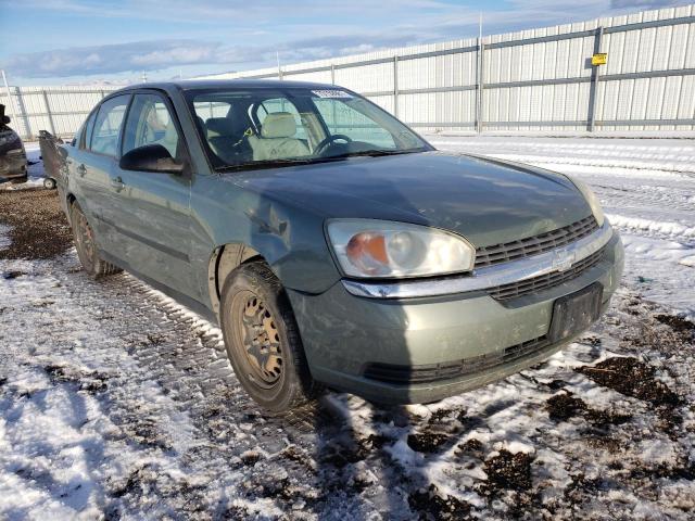 CHEVROLET MALIBU 2005 1g1zs54895f287298