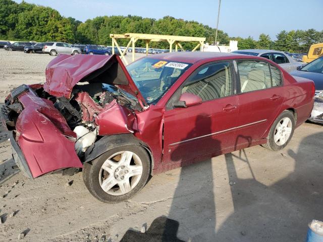 CHEVROLET MALIBU LT 2006 1g1zt51816f232007