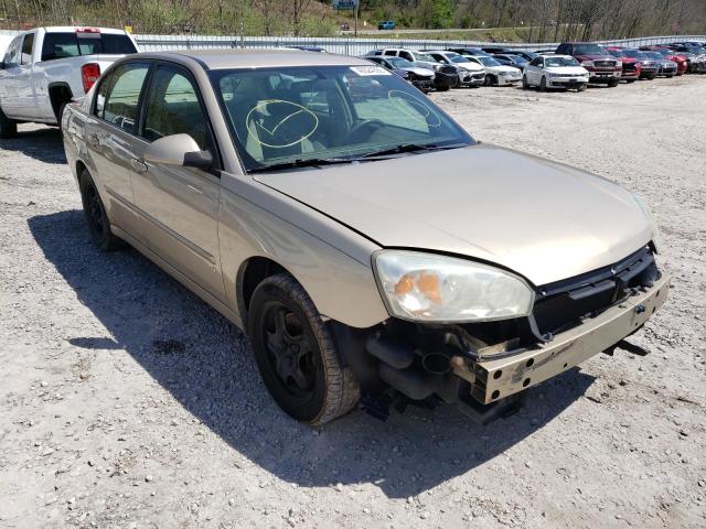 CHEVROLET MALIBU LT 2006 1g1zt51836f201308