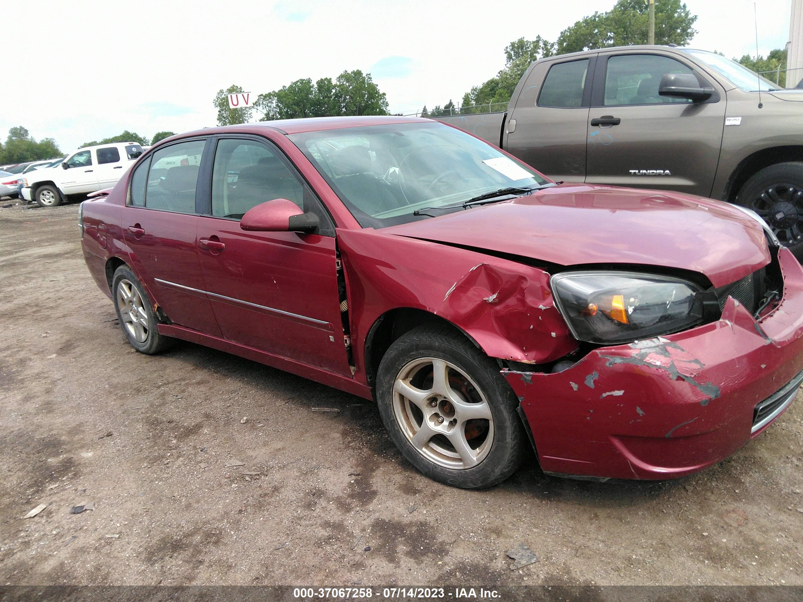 CHEVROLET MALIBU 2006 1g1zt51856f239218