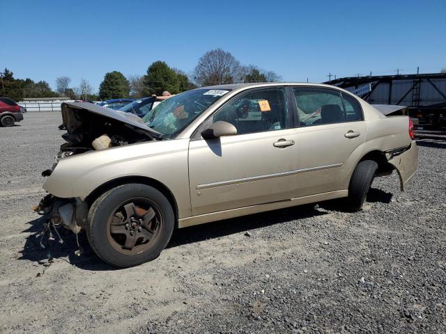 CHEVROLET MALIBU 2006 1g1zt51866f151956