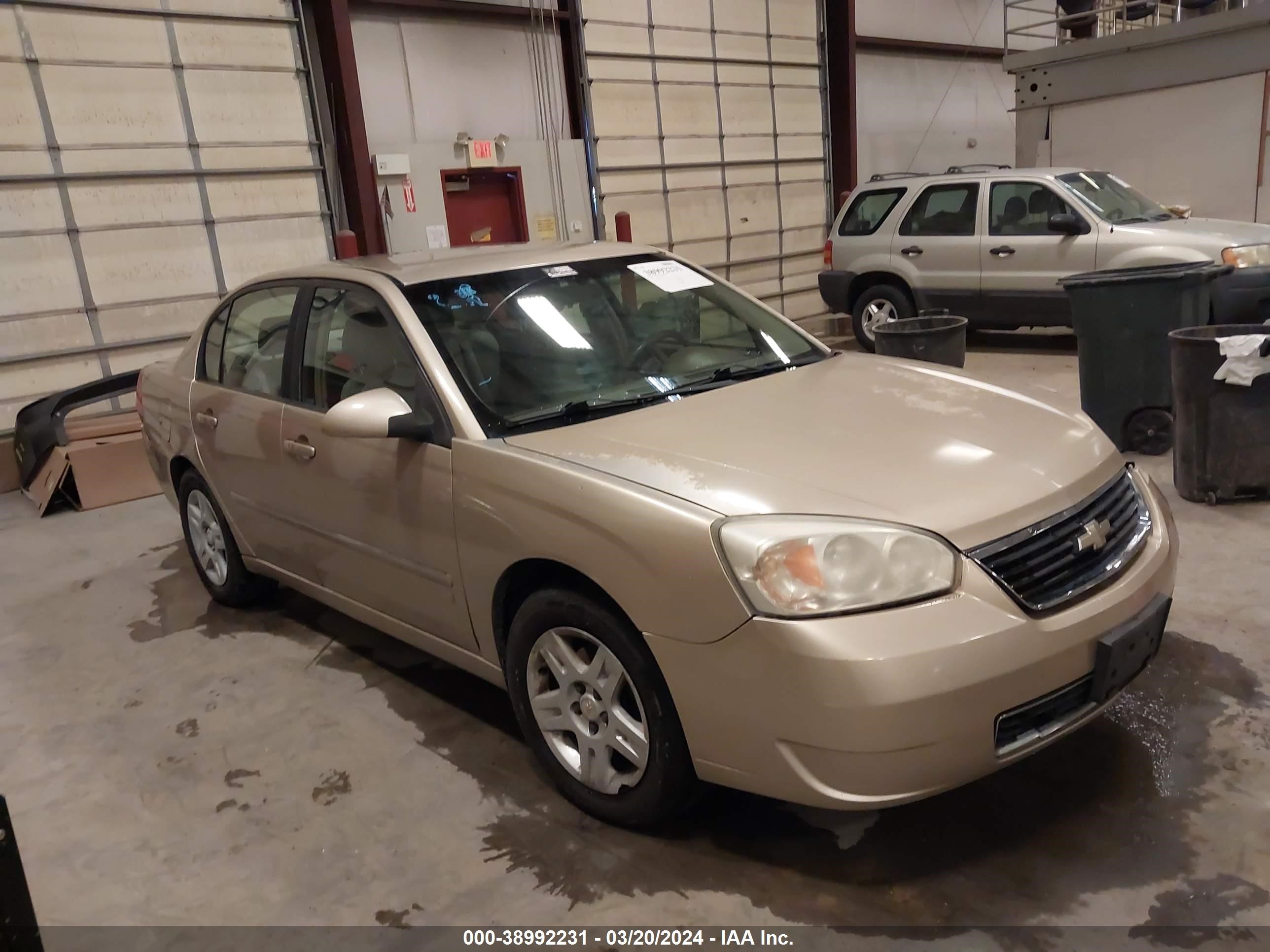 CHEVROLET MALIBU 2006 1g1zt51886f157502