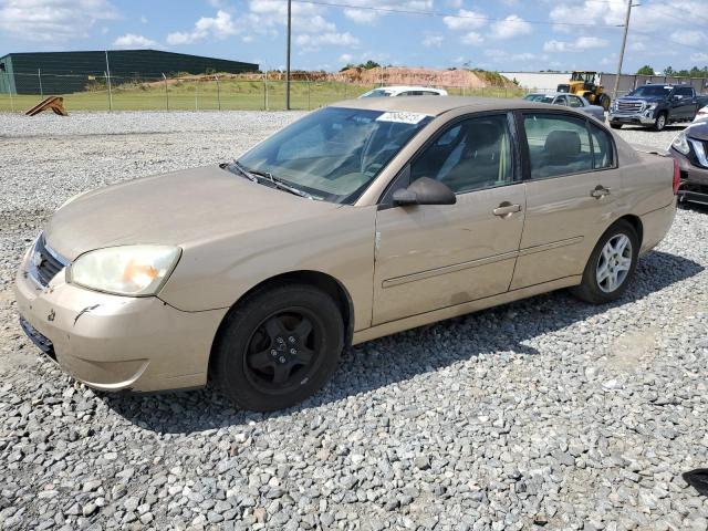 CHEVROLET MALIBU LT 2006 1g1zt51886f173425