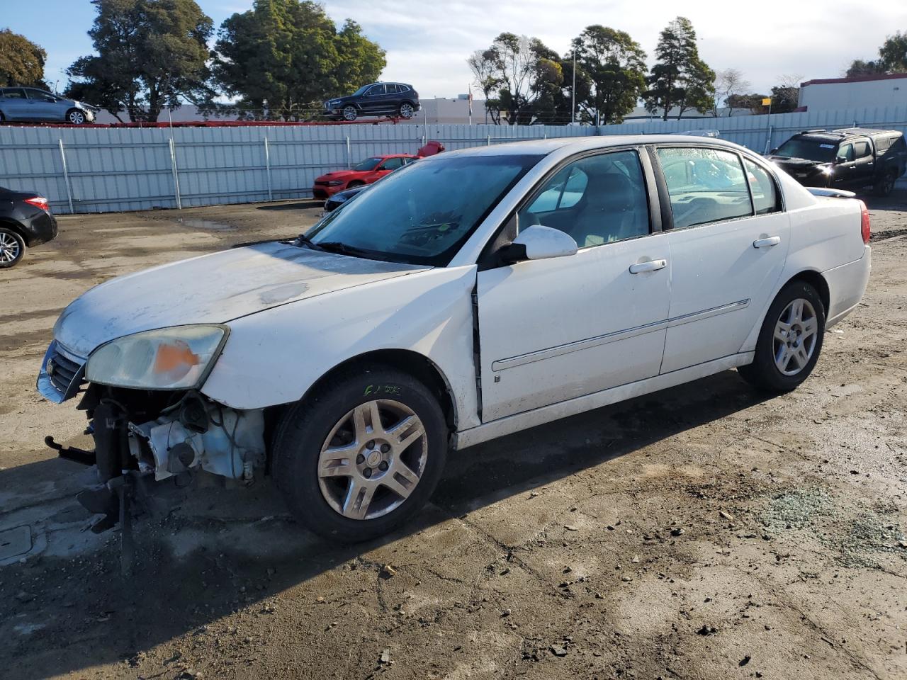 CHEVROLET MALIBU 2006 1g1zt51886f303302