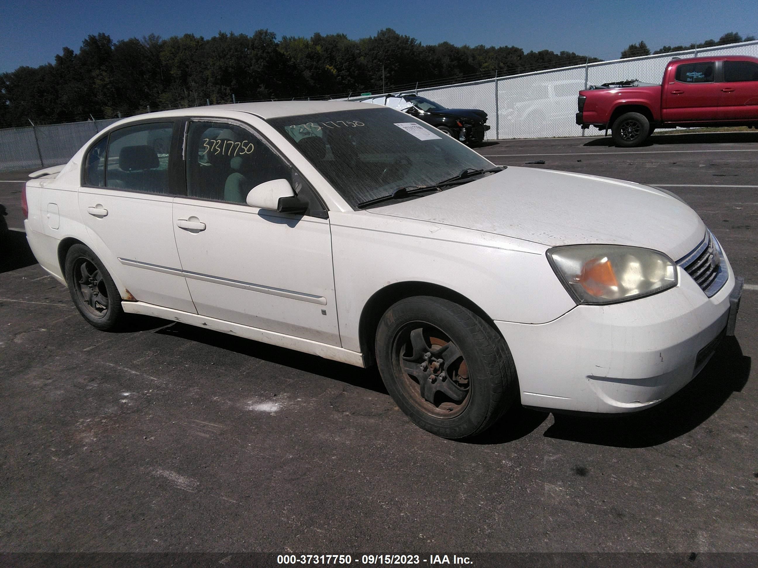 CHEVROLET MALIBU 2006 1g1zt51896f201443