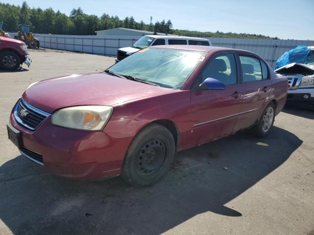 CHEVROLET MALIBU LT 2006 1g1zt51f16f269721