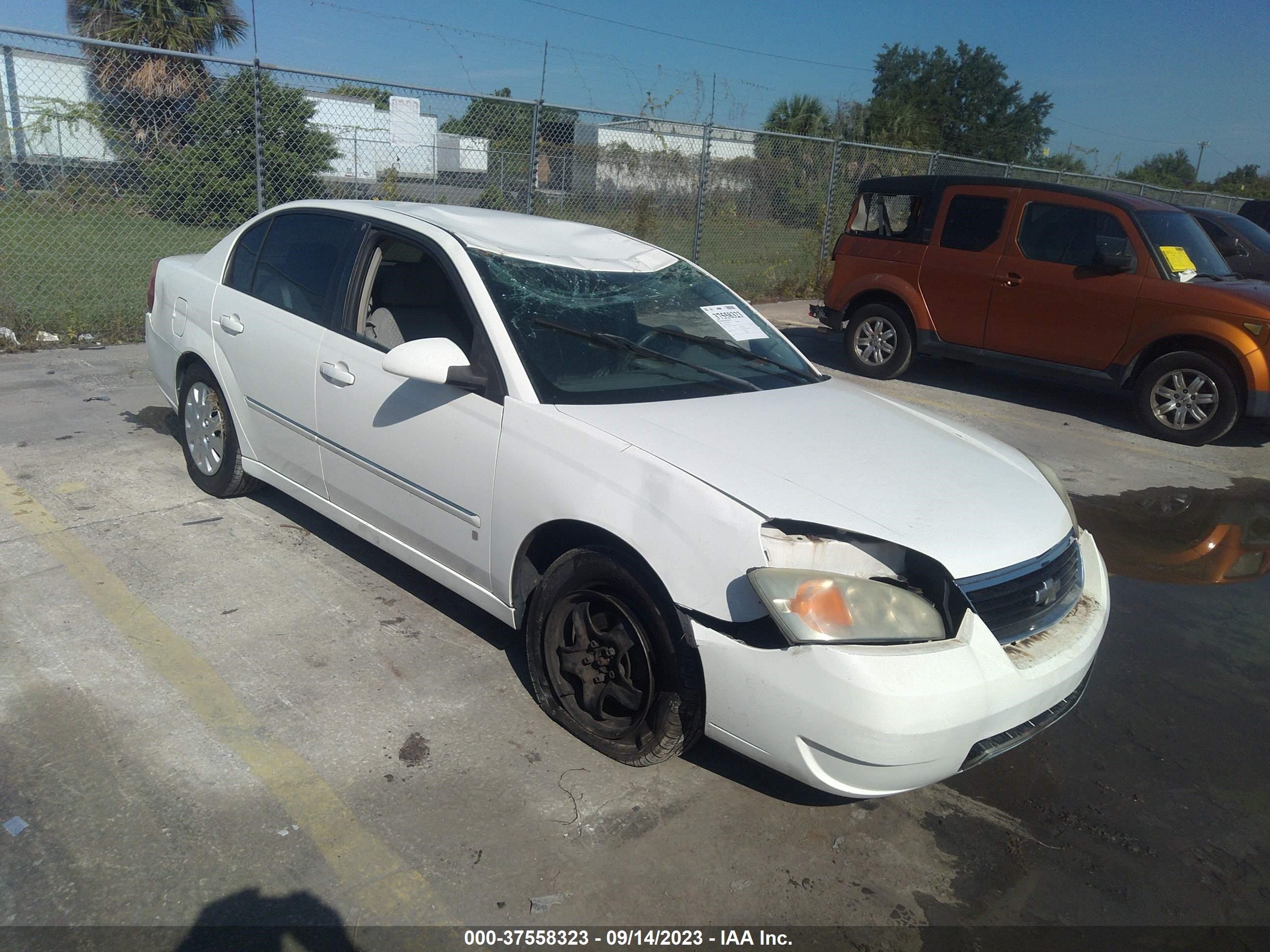 CHEVROLET MALIBU 2006 1g1zt51f26f163861