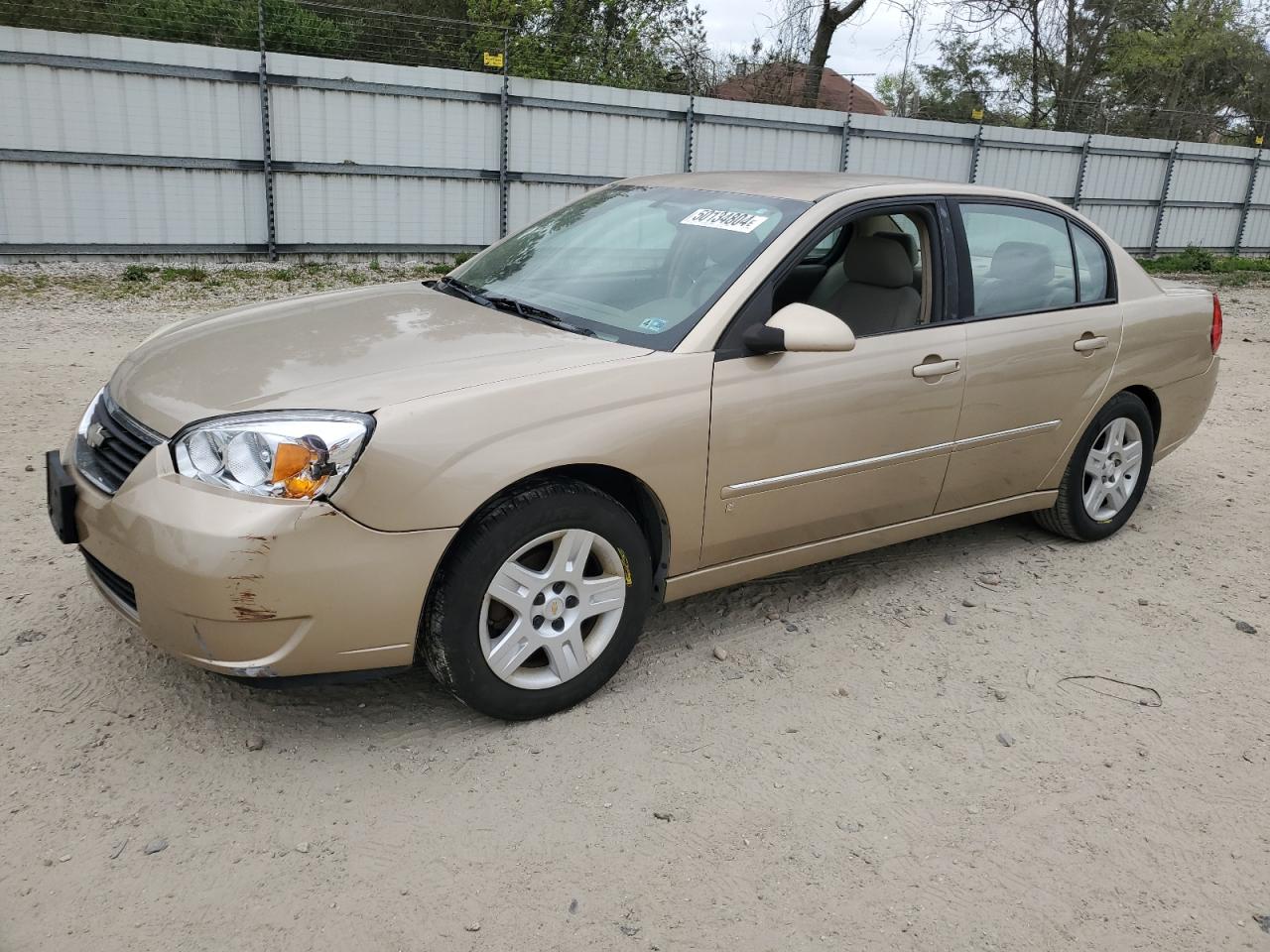 CHEVROLET MALIBU 2006 1g1zt51f46f151632