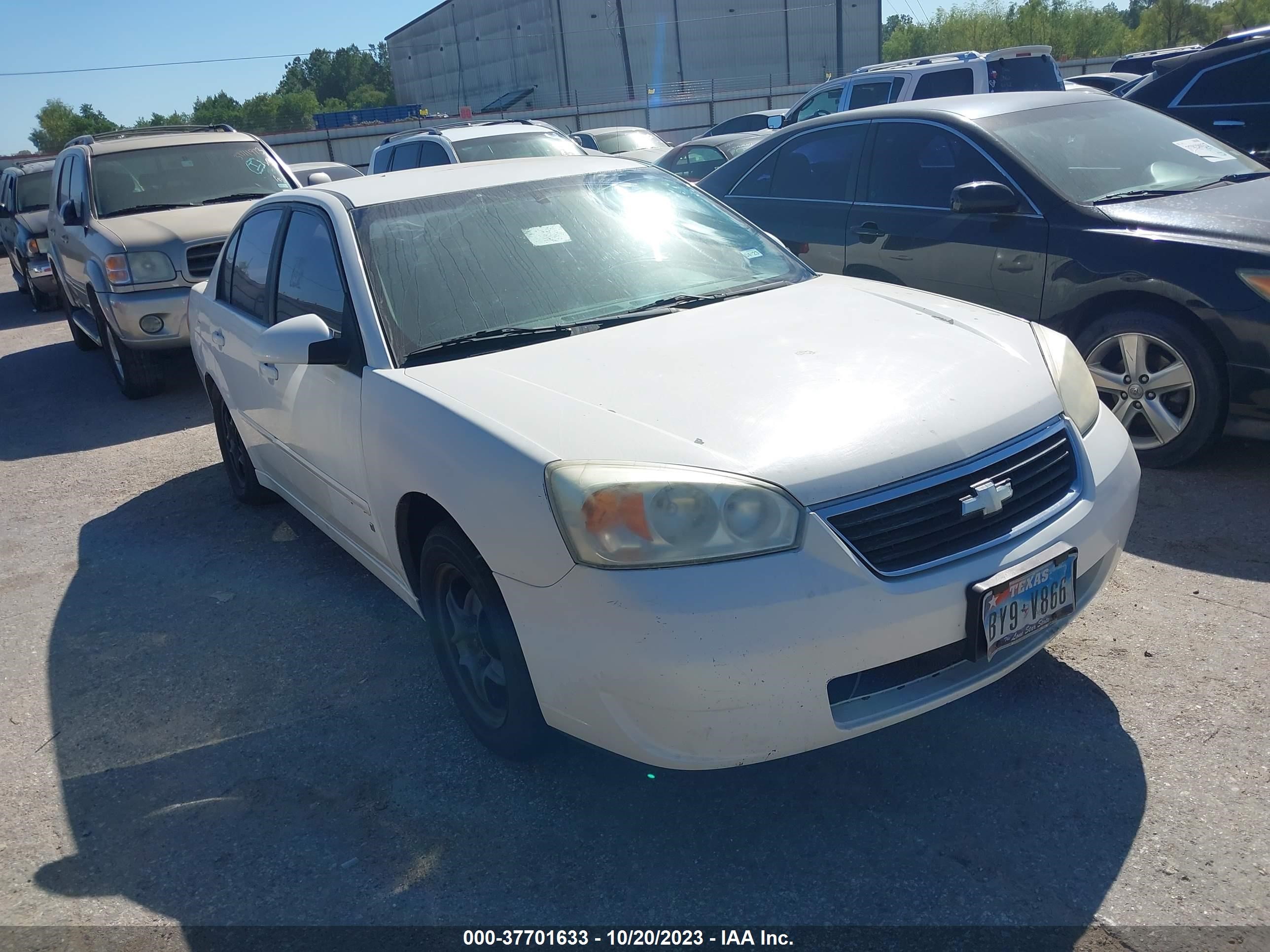 CHEVROLET MALIBU 2006 1g1zt51f96f100305