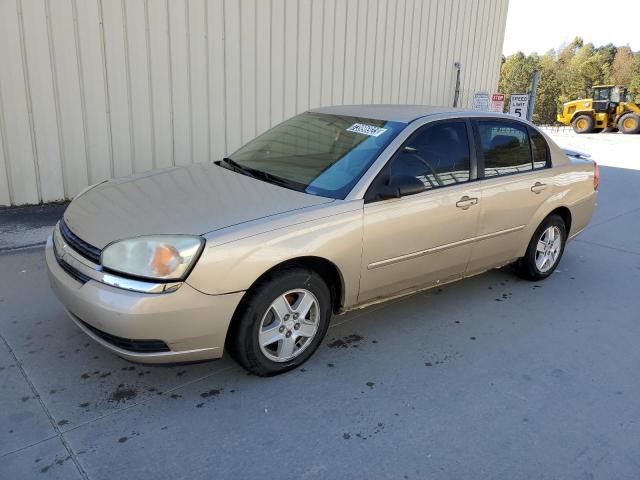 CHEVROLET MALIBU 2004 1g1zt52804f239736