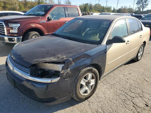 CHEVROLET MALIBU 2005 1g1zt52815f185459