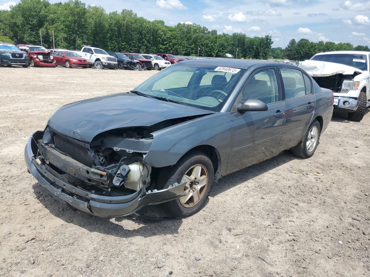 CHEVROLET MALIBU 2005 1g1zt52815f191830