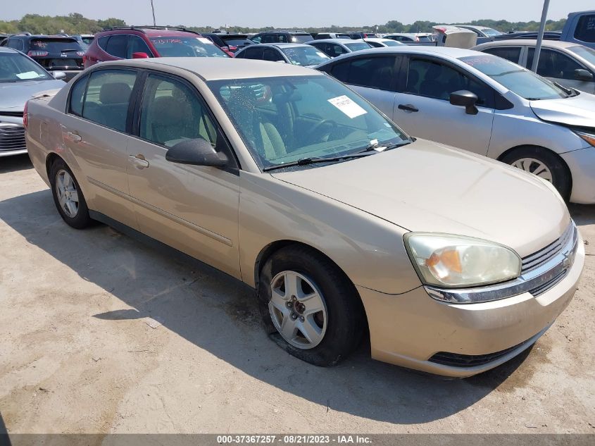 CHEVROLET MALIBU 2005 1g1zt52815f303820