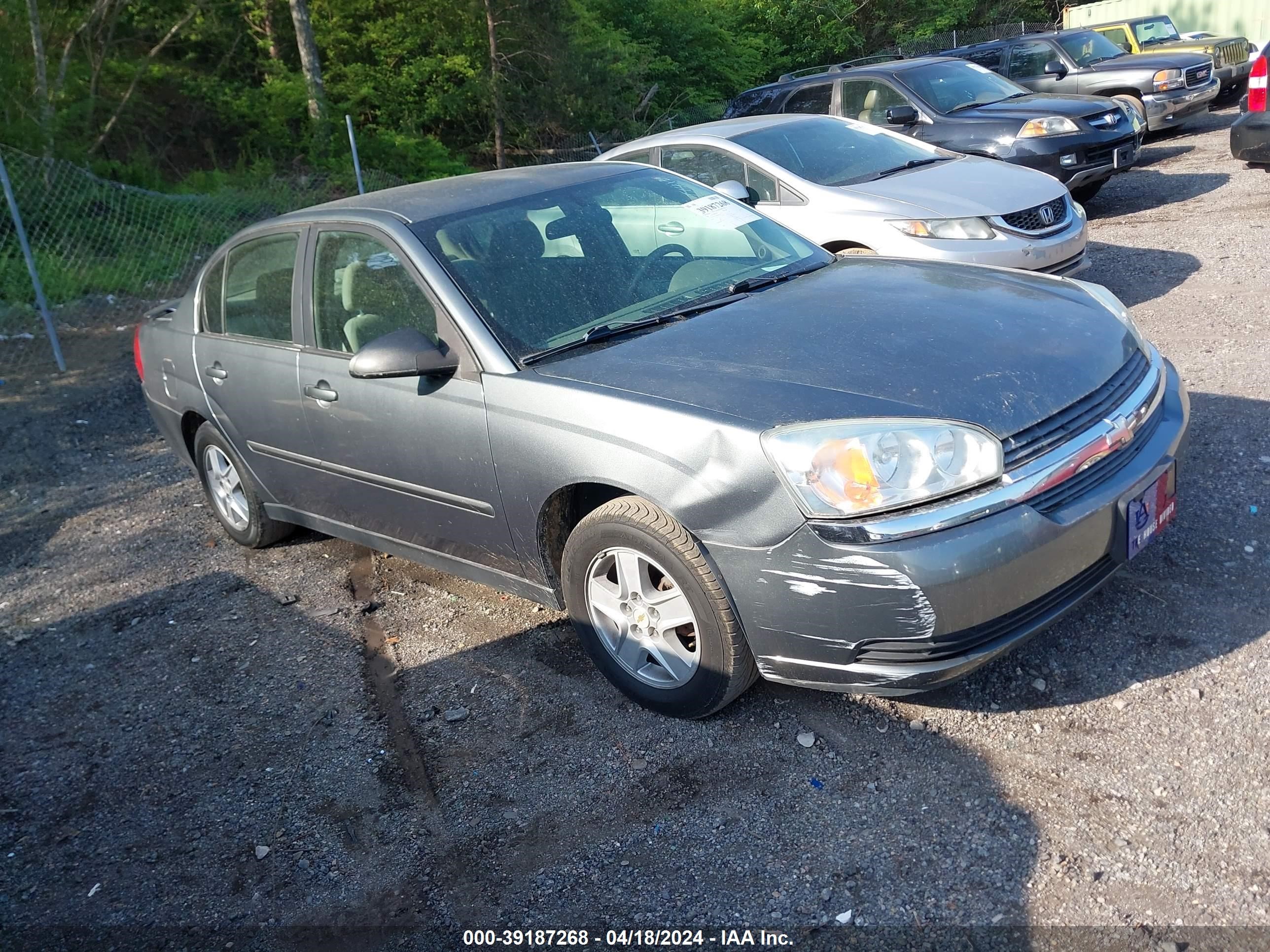 CHEVROLET MALIBU 2005 1g1zt52825f281214