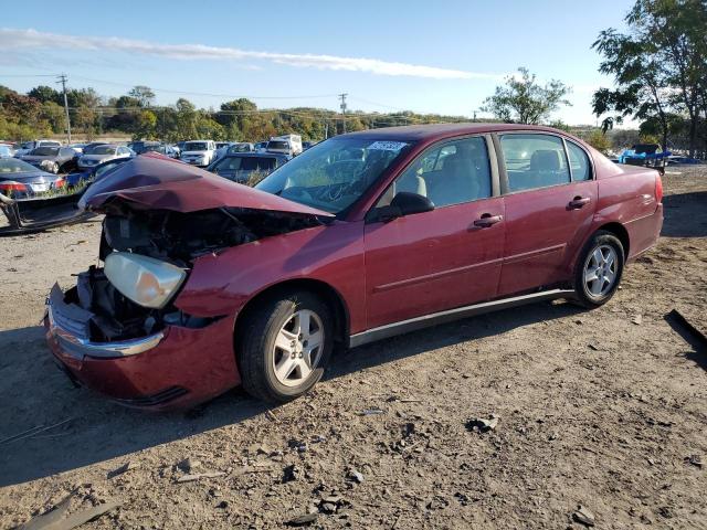 CHEVROLET MALIBU 2005 1g1zt52845f318750