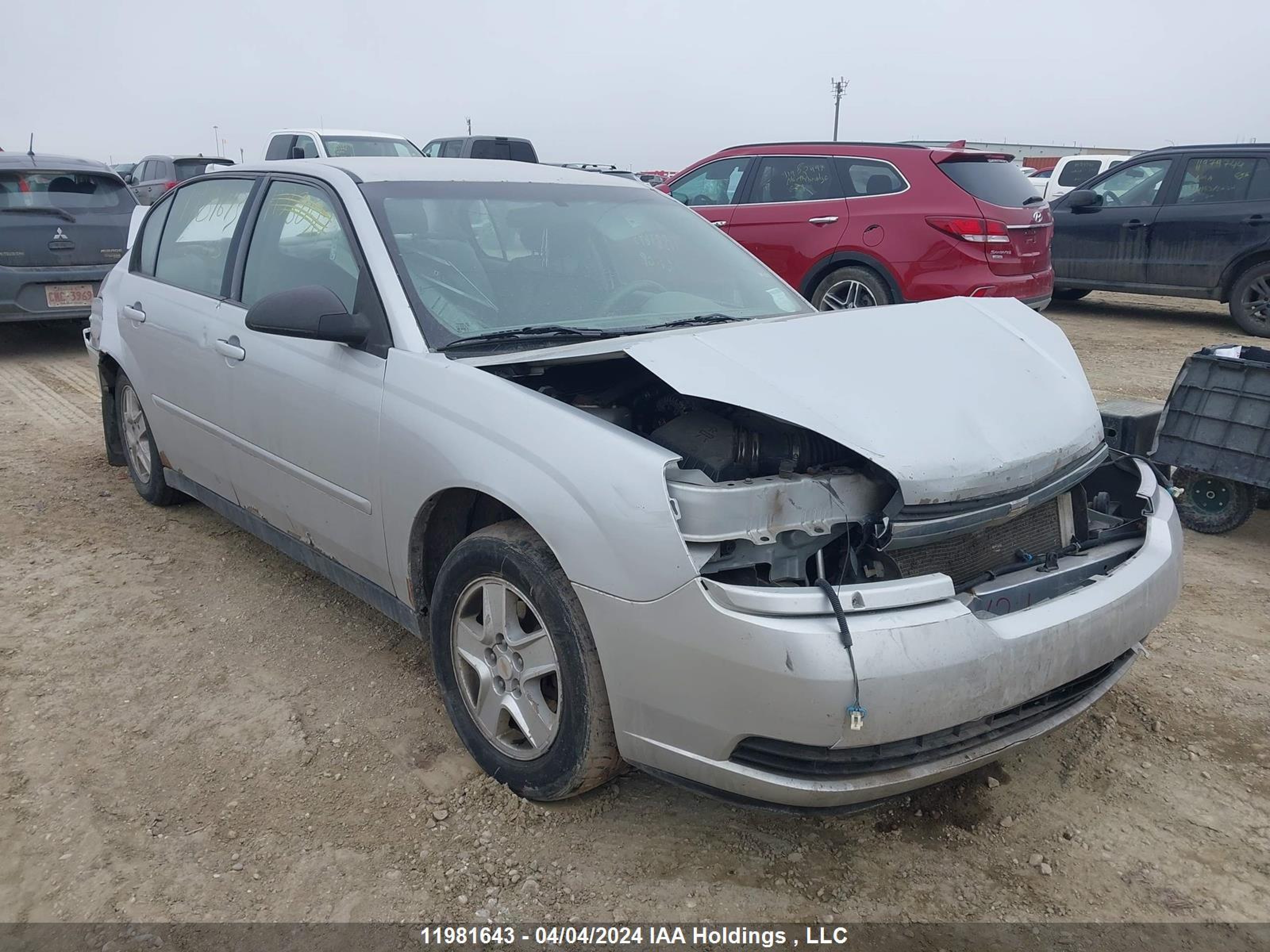 CHEVROLET MALIBU 2004 1g1zt52854f125649