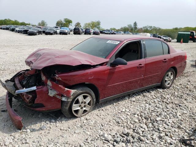 CHEVROLET MALIBU 2004 1g1zt52864f115292