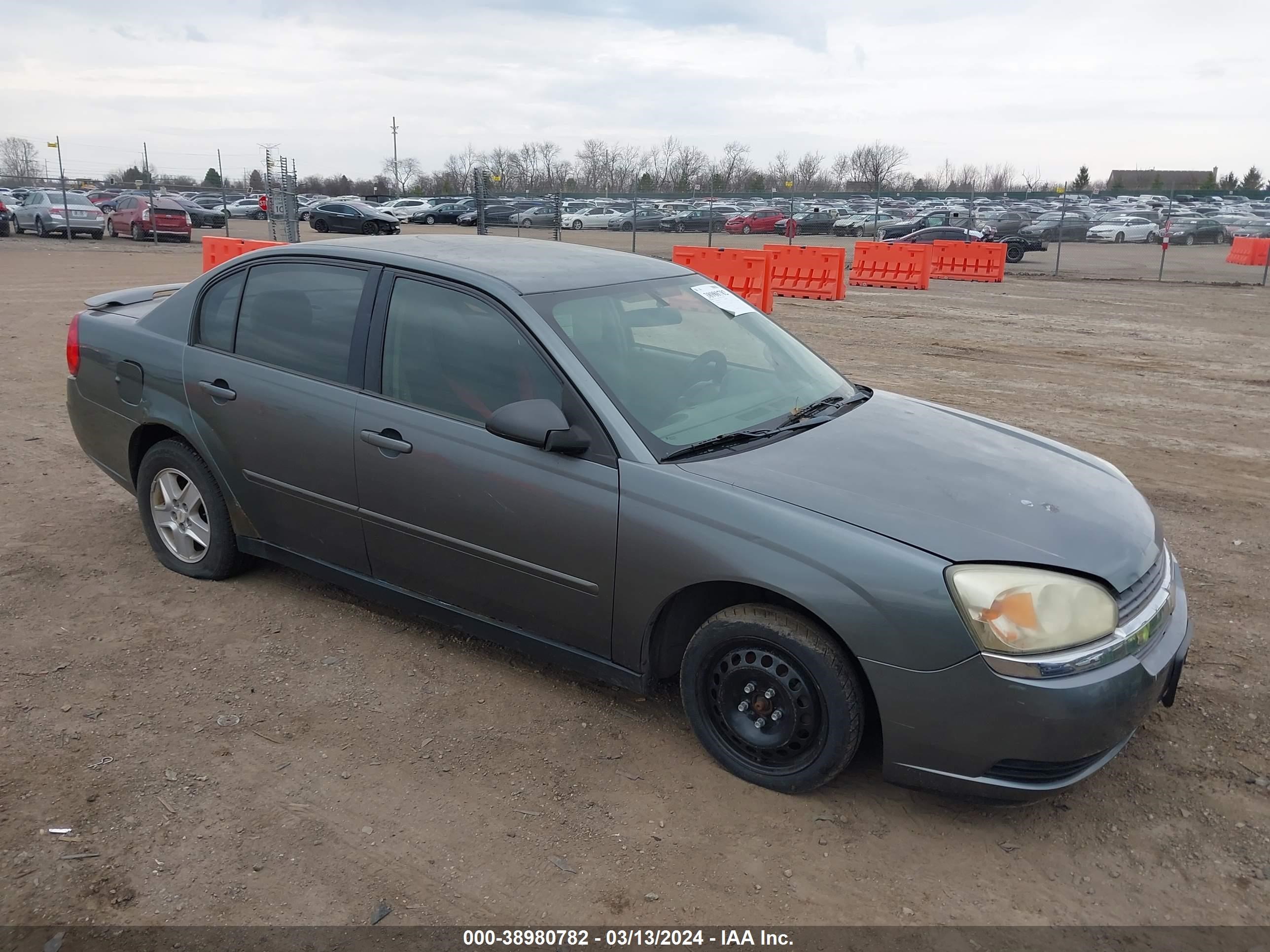 CHEVROLET MALIBU 2005 1g1zt52865f130523