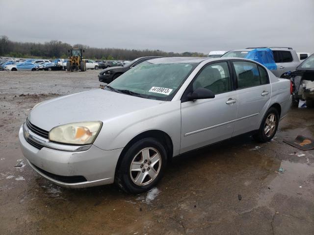 CHEVROLET MALIBU LS 2004 1g1zt52874f162234