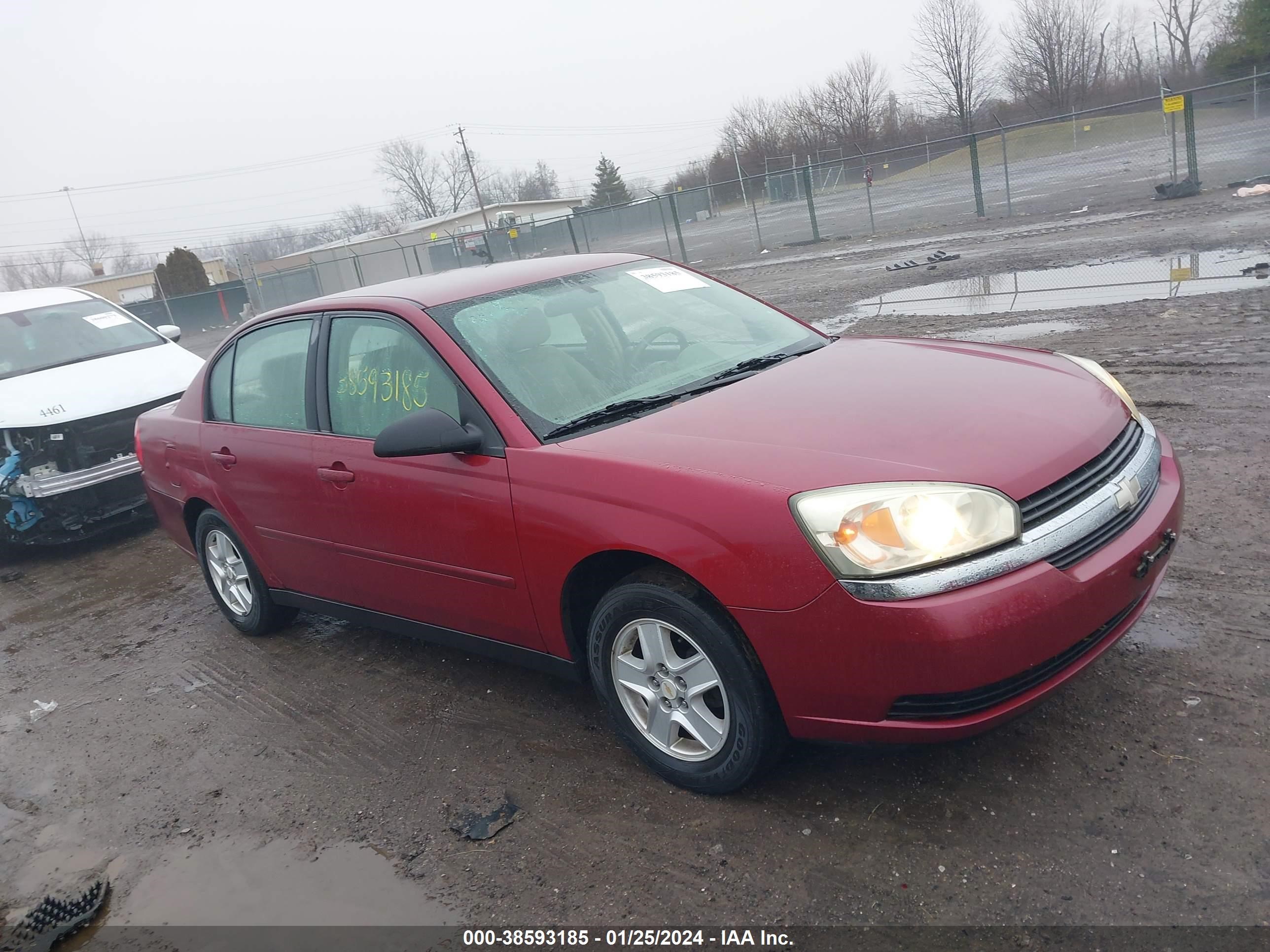 CHEVROLET MALIBU 2004 1g1zt52874f218446