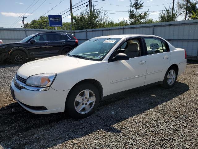 CHEVROLET MALIBU LS 2005 1g1zt52875f138730