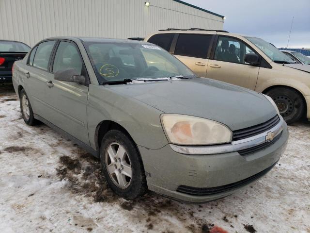 CHEVROLET MALIBU LS 2004 1g1zt52884f218424