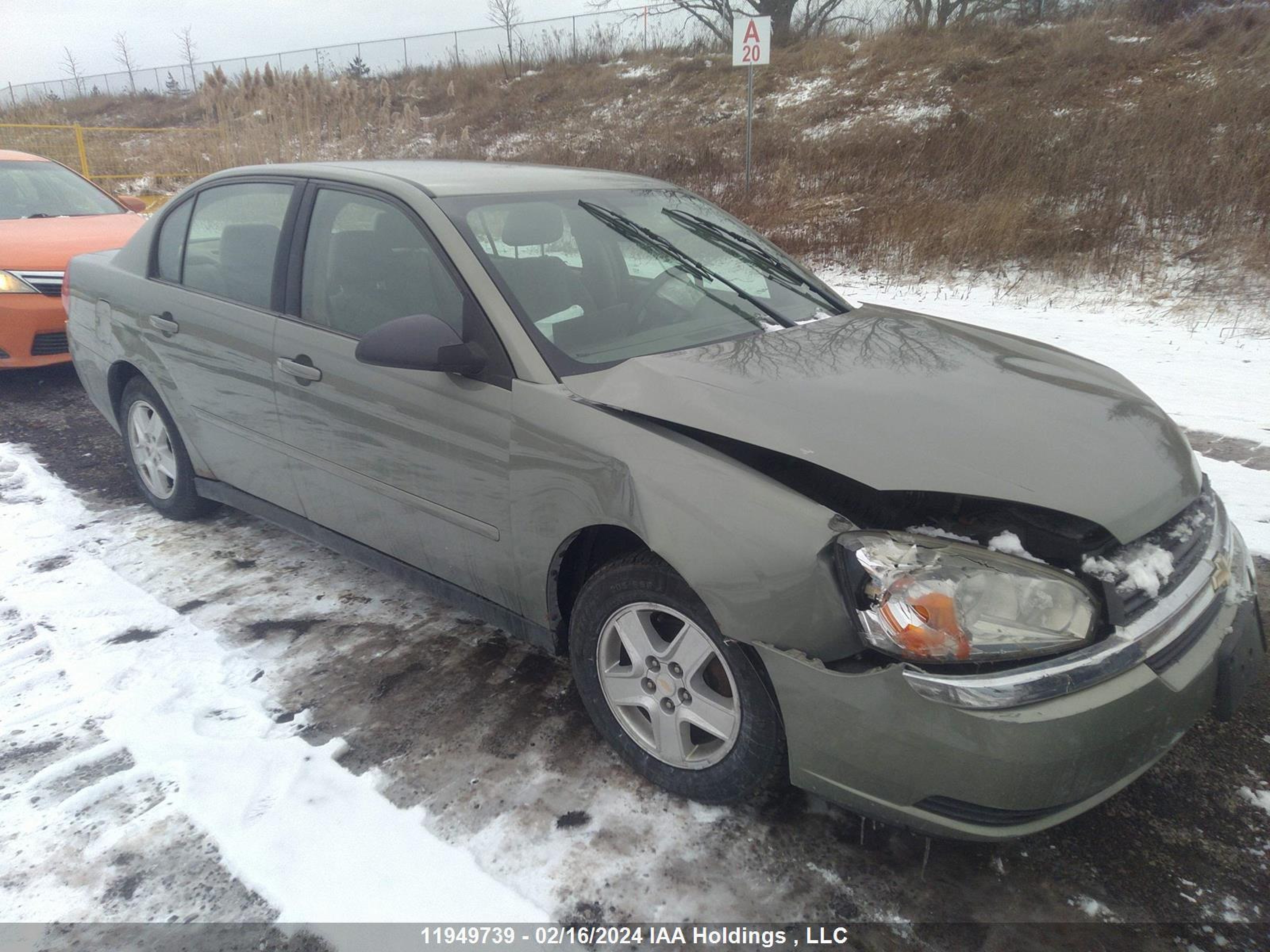 CHEVROLET MALIBU 2005 1g1zt52885f271299