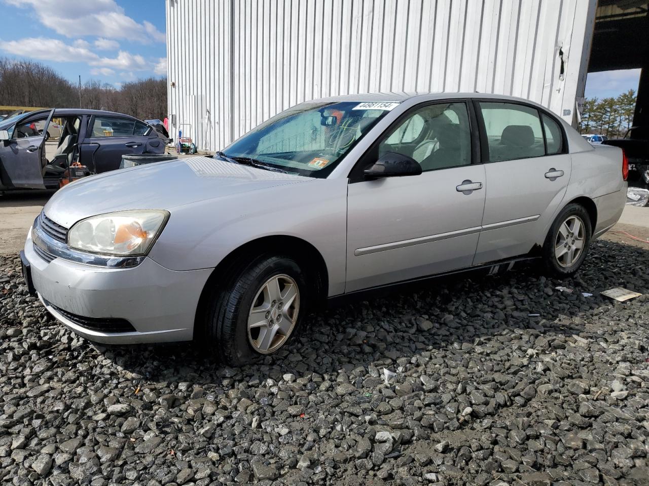 CHEVROLET MALIBU 2004 1g1zt52894f212051